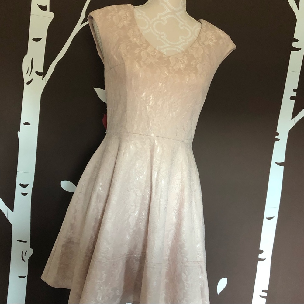 Made for Impulse Blush Pink Lace Dress
